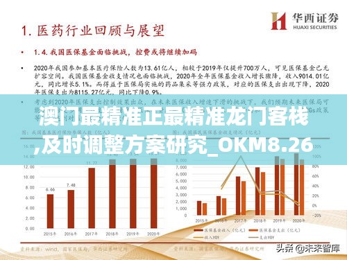 2025新澳门最精准正最精准龙门,民主解答解释与落实展望